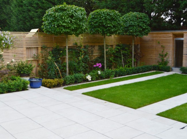 Modern Garden with Pleached Trees
