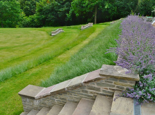 Mown Pathways and Steps in Lawn