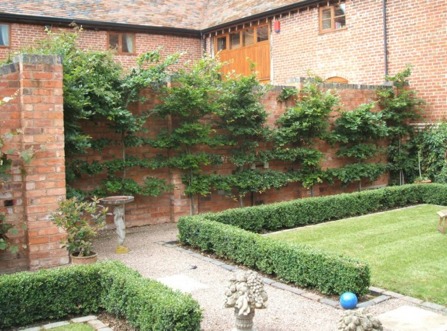 Walled Courtyard Garden with Box Hedging